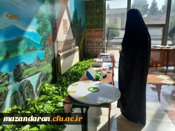 برگزاری نمایشگاه دست سازه های ریاضی به مناسبت دهه ریاضیات در سالن آموزش مرکز حضرت فاطمه(س)قائمشهر 2