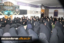 مراسم عزاداری دهه دوم فاطمیه  4