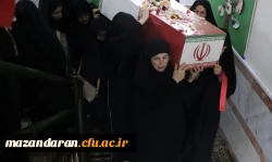 مراسم عزاداری دهه دوم فاطمیه  8