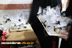 مراسم عزاداری دهه دوم فاطمیه  9