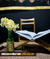 در قاب های این شب نورانی، 
دل هایی پیداست که
 با ذکر «یا فاطمه ﷺ» آرام گرفته اند. 2