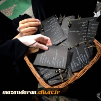 در قاب های این شب نورانی، 
دل هایی پیداست که
 با ذکر «یا فاطمه ﷺ» آرام گرفته اند. 2