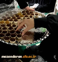 برگزاری مراسم عزاداری به مناسبت ایام وفات شهادت گونه ی بانوی وفاداری و ایثار، حضرت ام البنین(س)،  2