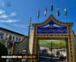 حضور دانشجومعلمان بر سر مزار شهیده نبی زاده ، معلمی که در جنگ تحمیلی دوم به شهادت رسید. 5