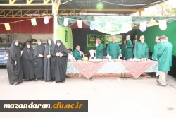 خوشا آن چای
کز سوی تو باشد...
امام رضا جانم...
 2