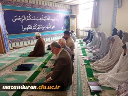 خوشا آن چای
کز سوی تو باشد...
امام رضا جانم...
 2