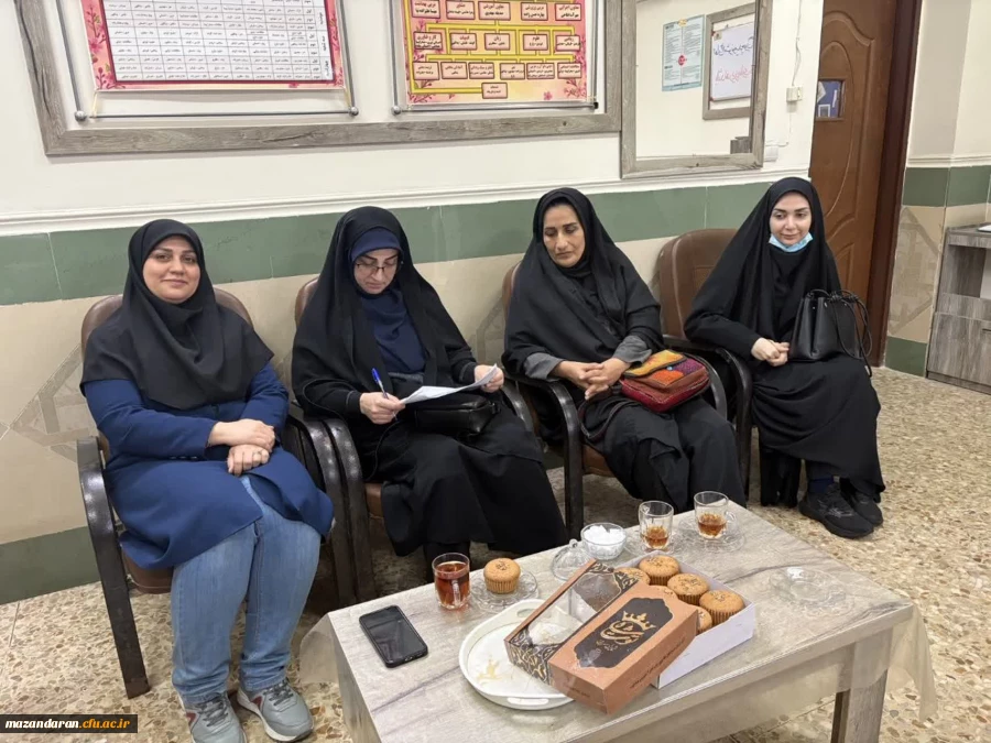 بازدید کارورزی از مدارس 4