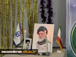 برپایی جشن باشکوه ولادت امام رضا (ع)  2